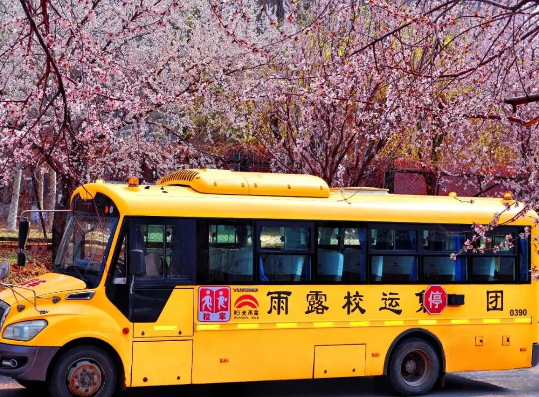 秋季校車安全特輯：秋色雖美，安全不怠//陽光雨露校車筑起秋季安全防線