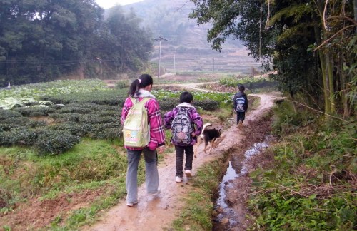閩南山村三姐弟徒步上學(xué)盼校車