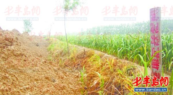 2011年底一名孩子在三輪車上趕作業。一年半過去了，這樣的場景仍隨處可見。