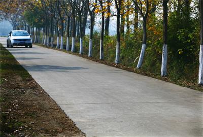 改善校車行駛路況，江蘇高郵實施農(nóng)村公路提檔升級工程