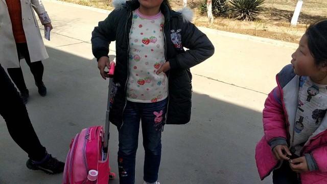 大荔：校車管理混亂 幼兒安全令人堪憂