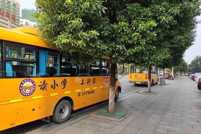 衡陽：向不文明行為說“不”，天臺路校車扎堆亂停 導致交通混亂