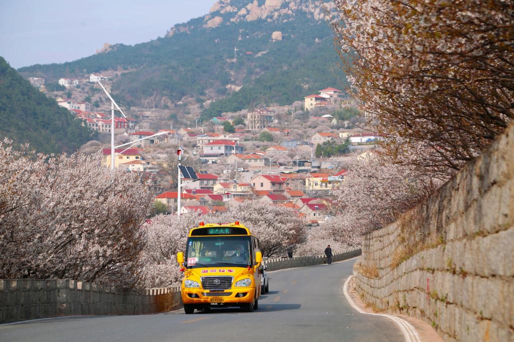 “大鼻子”校車開(kāi)進(jìn)嶗山9年了，護(hù)航山區(qū)孩子上學(xué)路