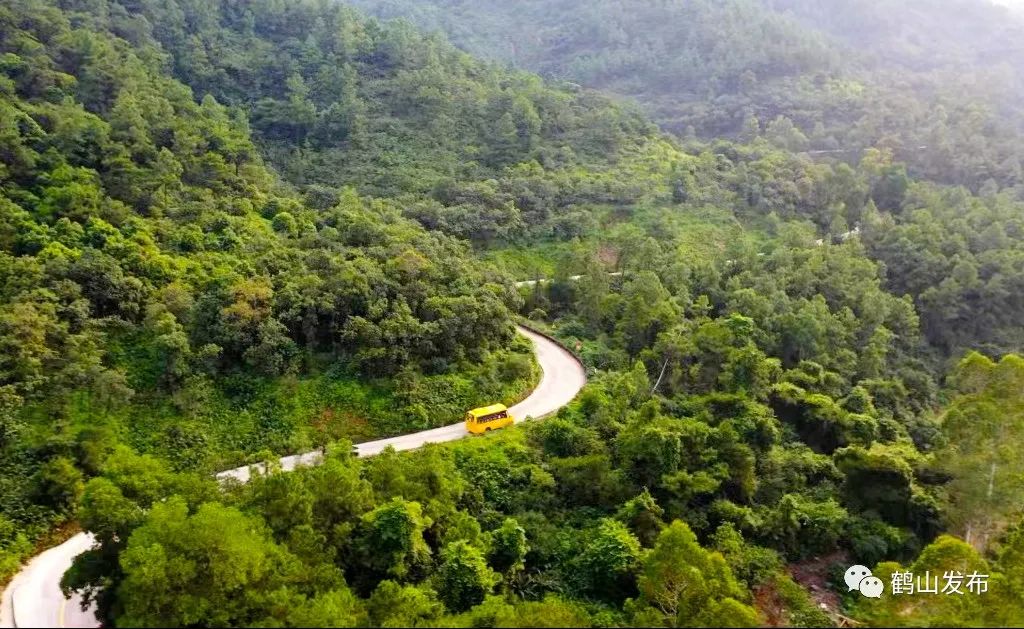 滴！滴！滴！古勞茶山村校車專線開通！