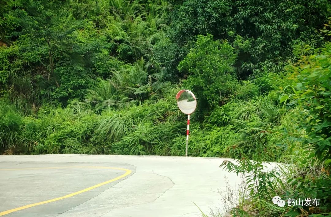 滴！滴！滴！古勞茶山村校車專線開通！