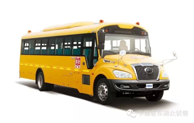 校車：從起初鐘情到一路相伴，無畏風雨