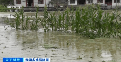 緊急！緊急！84條河流現(xiàn)超警洪水！上萬(wàn)畝農(nóng)田被淹，校車陷1米深積水…
