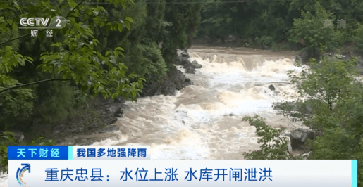 緊急！緊急！84條河流現(xiàn)超警洪水！上萬(wàn)畝農(nóng)田被淹，校車陷1米深積水…