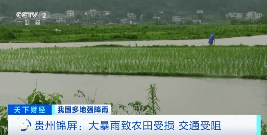 緊急！緊急！84條河流現(xiàn)超警洪水！上萬(wàn)畝農(nóng)田被淹，校車陷1米深積水…