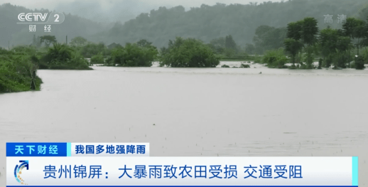 緊急！緊急！84條河流現(xiàn)超警洪水！上萬(wàn)畝農(nóng)田被淹，校車陷1米深積水…