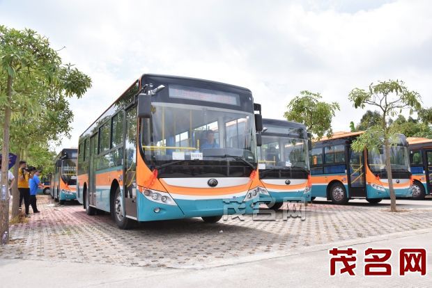 廣東茂名電白區即將開通水東城區學校21條專線校車